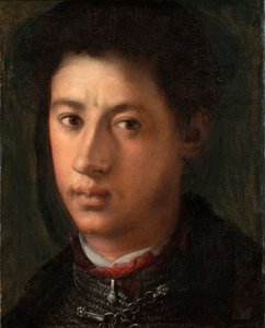 Portræt af Alessandro de Medici 1510-1537, 1534-1535 af Jacopo Pontormo