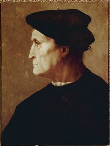 Profile portrait of Francesco da Castiglionedani af Jacopo Pontormo
