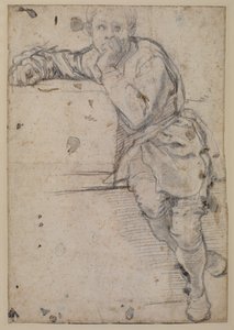 Seated youthdani af Jacopo Pontormo