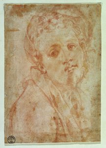 Selvportræt (rødt kridt på papir) af Jacopo Pontormo