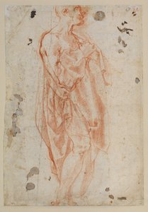 Studie for Saint Jerome af Jacopo Pontormo