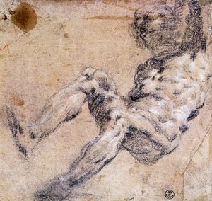 Undersøgelse af nøgen mand af Jacopo Robusti Tintoretto