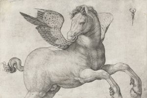 Pegasus, 1509-16 af Jacopo de Barbari