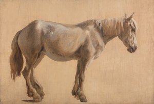 Studie af en grå hest af Jacques-Laurent Agasse