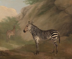 Zebra af Jacques-Laurent Agasse