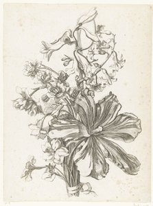 Buket med en tulipan, en hyacint, brodiaea og påskeliljer Diverse Fleurs mises en Boucquets (serietitel) af Jacques Bailly (I)