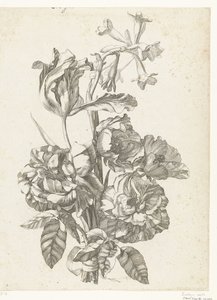 Buket med pæoner, en tulipan og en brodiaea Diverse Fleurs mises en Boucquets (serietitel) af Jacques Bailly (I)