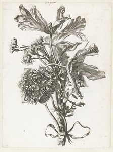Buket med falmede tulipaner, en anemone og immorteller Diverse Fleurs mises en Boucquets (serietitel) af Jacques Bailly (I)