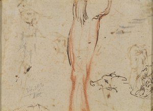 Et Ben og et Grisehoved af Jacques Callot