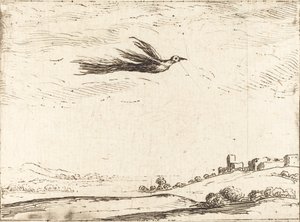 Paradisfugl. af Jacques Callot