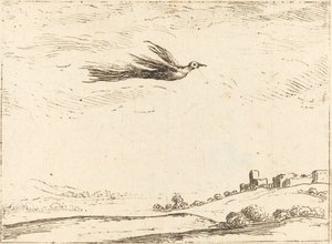 Paradisfugl af Jacques Callot