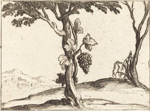 Klase druer af Jacques Callot