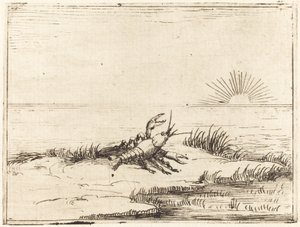 Krebs ser på solen af Jacques Callot