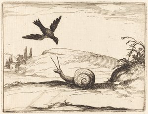 Krage og snegl af Jacques Callot