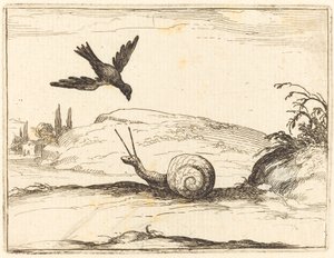 Krage og snegl af Jacques Callot