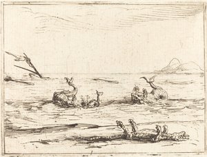 Delfiner og krokodille af Jacques Callot