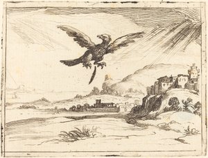 Ørn mister en gammel fjer, 1628.