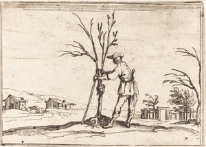 Gartner beskærer et træ af Jacques Callot