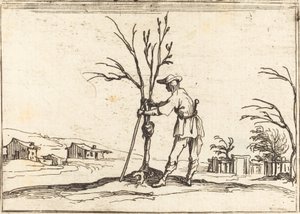 Gartner beskærer et træ af Jacques Callot