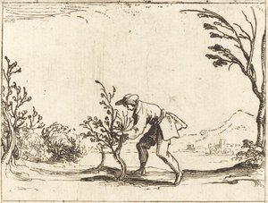Mand skærer et balsam-træ af Jacques Callot