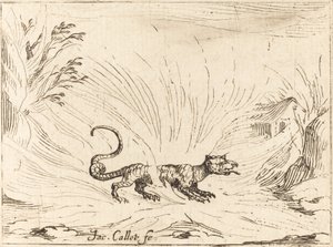 Salamander omgivet af flammer af Jacques Callot