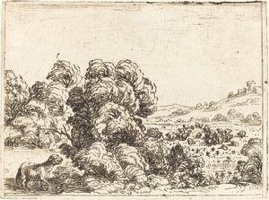 Får kalder lam af Jacques Callot