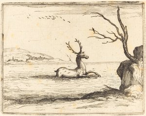Hjort i vandet af Jacques Callot