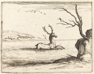 Hjort i vandet af Jacques Callot