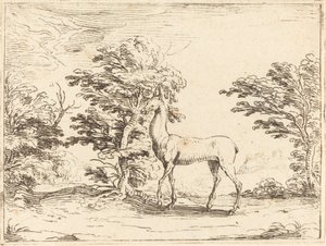 Doe. af Jacques Callot