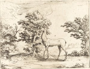 Doe af Jacques Callot
