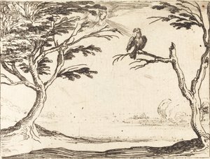 Gribben af Jacques Callot