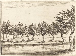 Piletræer ved Vandkanten af Jacques Callot