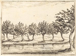 Piletræer ved vandkanten, 1628. af Jacques Callot