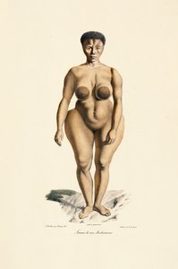 Boschman Race Woman set forfra af Jacques Christophe Werner