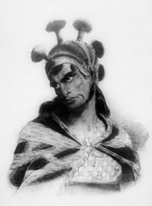 Hawaii-kriger iført hjelm med svampe-smykket emblem, 1819
