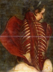Den flåede engel, ca. 1745