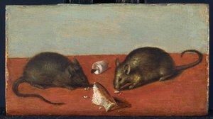 Mus, ca. 1600 (olie på egetræ) af Jacques II de Gheyn