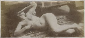 Studie af en kvindelig nøgenmodel, liggende på et tigerskind, i Jacques de Lalaings studie af Jacques Lalaing (attributed to)