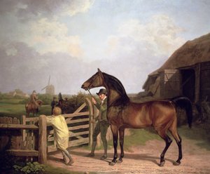 "Bay Ascham", en hingst førte gennem en port til en hoppe, 1804