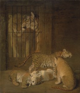 Gruppe af hvalpe opdrættet mellem en løve og en tiger af Jacques Laurent Agasse