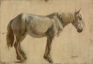 Studie af en grå hest (olie på papir) af Jacques Laurent Agasse