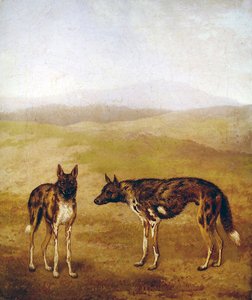 To afrikanske jagthunde (olie på lærred) af Jacques Laurent Agasse