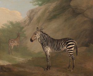 Zebra af Jacques Laurent Agasse