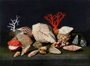 ""Stilleben med skaller og koraller"" (Stilleben med skaller og koraller) Maleri af Jacques Linard (1597-1645), - Olie på træ, 47x64 - Fondation Custodia