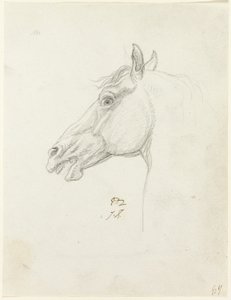 Hestens hoved af Jacques Louis David