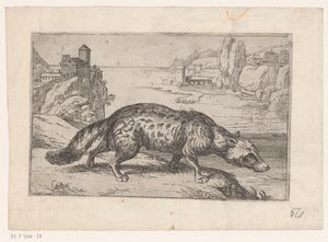 Hyæne Dyr i landskaber (serietitel) af Jacques de Fornazeris (attributed to)