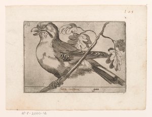 Gaai Gaio (titel på objekt) Vogels (serietitel) af Jacques de Fornazeris (possibly)