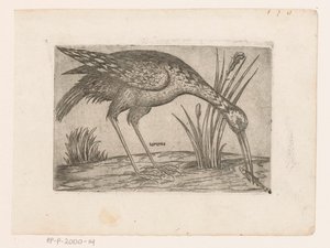 Vogel Tartena (titel på objekt) Vogels (serietitel) af Jacques de Fornazeris (possibly)