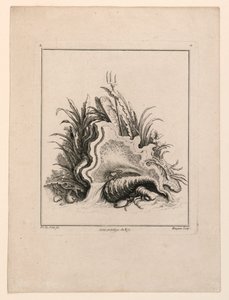 Escutcheon, fra "Recueil Nouveau de Differens Cartouche"