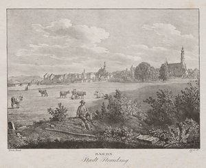 Bayern, by Straubing af Jakob Alt